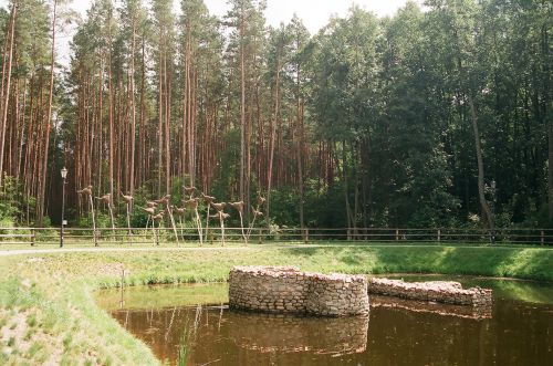 Park In Zwierzyniec