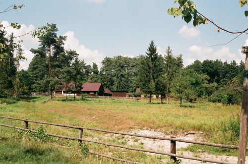 Park In Zwierzyniec