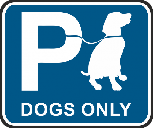 parking dog dog park place