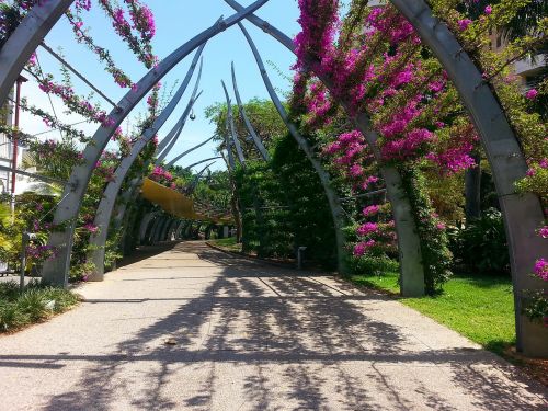 parklands park brisbane