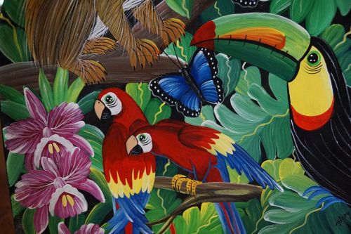 parrot birds colorful