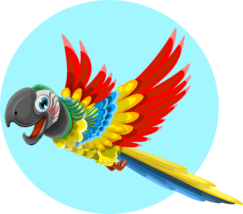 parrot animal bird