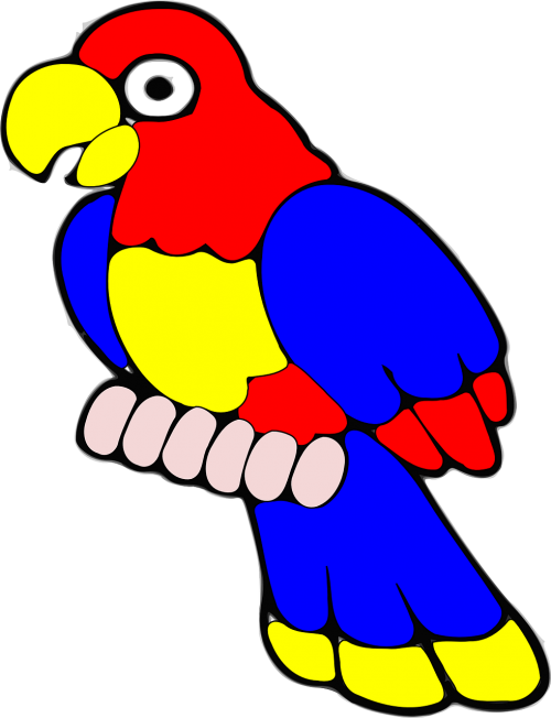 parrot bird tropical
