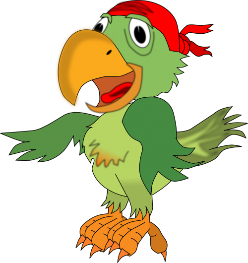 parrot pirates animal