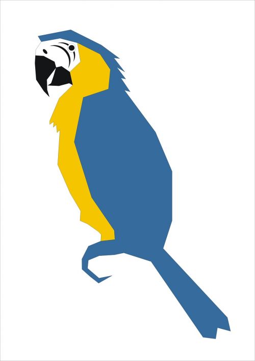 parrot graphic bird