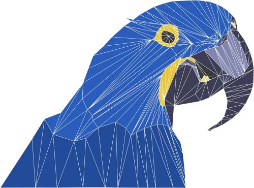 parrot bird blue