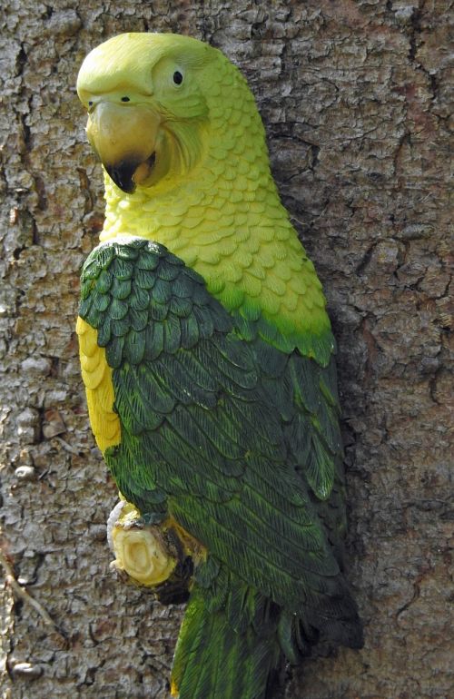 parrot tree birds