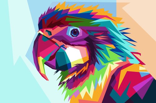 parrot  art  animal