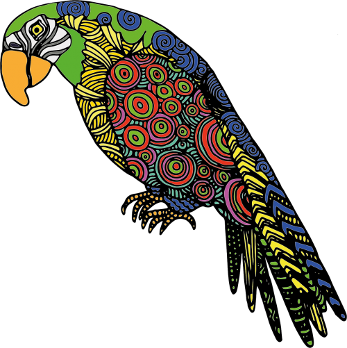 parrot bird colored