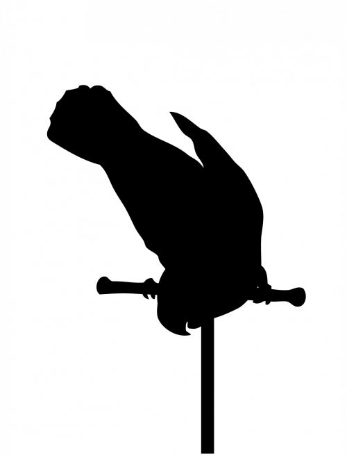 Parrot Bird Black Silhouette
