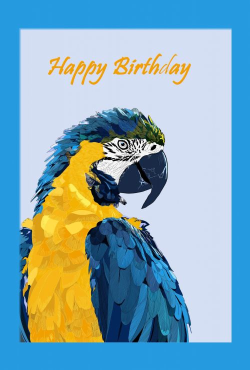 Parrot Birthday Card Illustration