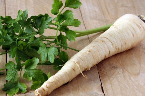 parsley leaves root