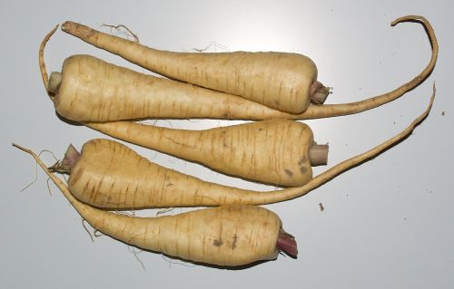 parsnips vegetables ingredient