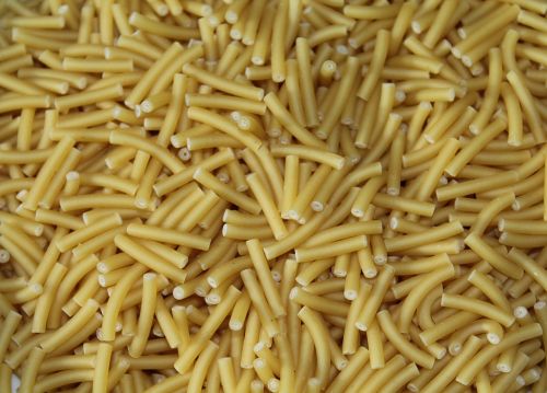 pasta durum wheat carbohydrates
