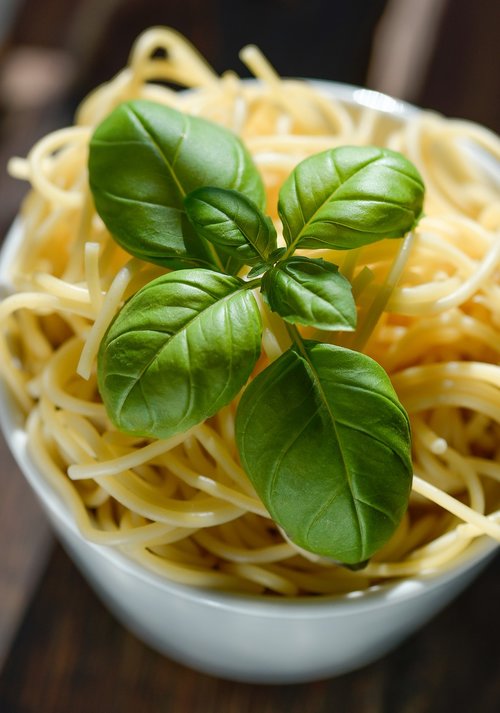 pasta  spaghetti  basil