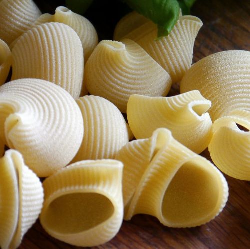 pasta noodles raw