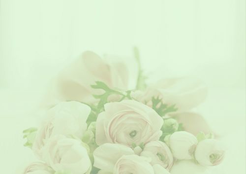 pastel roses background