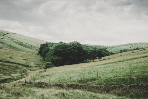 pasture field rural