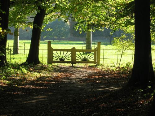 pasture rustic fence