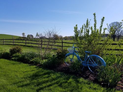 pasture nature bicycle