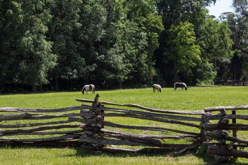 pasture pony fence