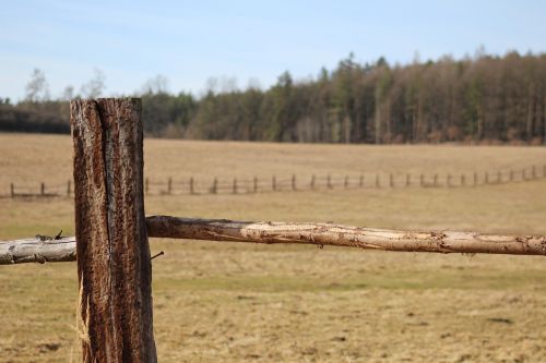 pasture pen meadow