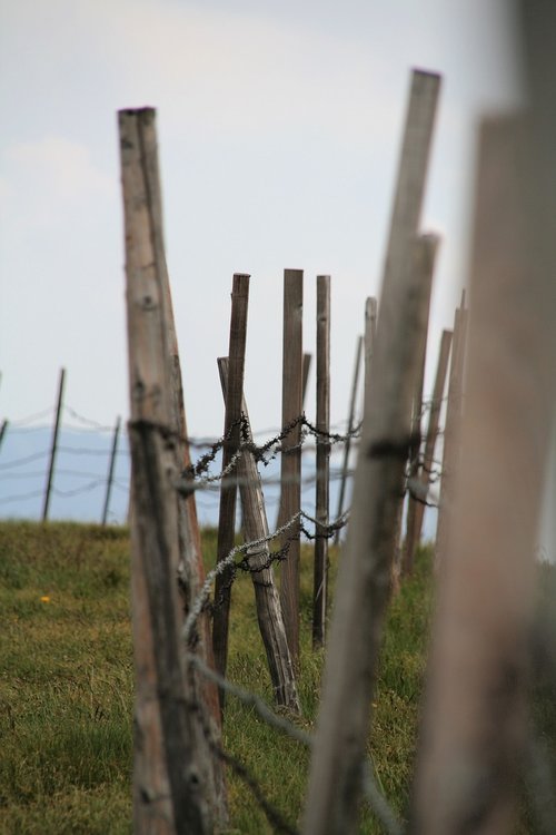 pasture  alm  fence