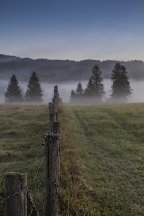 pasture fence  morning mist  fog