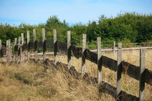 pasture fence  pasture  fence