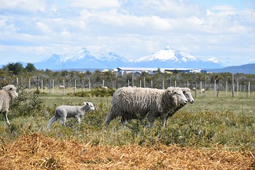 patagonia  mountains  landscape