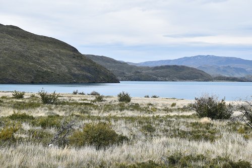 patagonia  torres del paine  national park