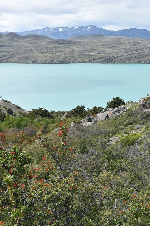 patagonia  torres del paine  national park