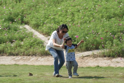 paternity park grassland