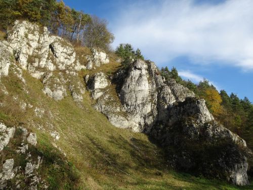 paternity national park poland landscape