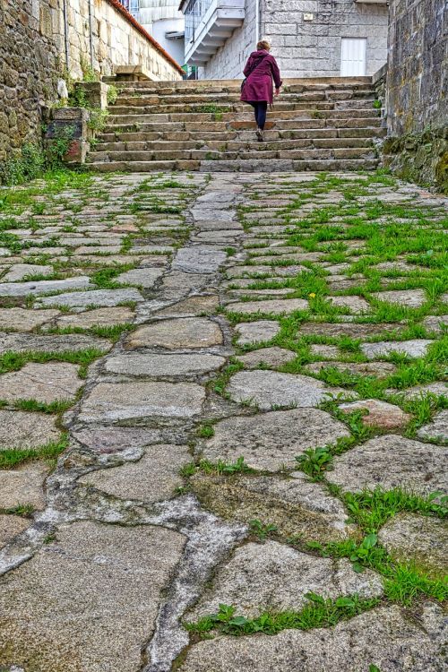 path grassy cobblestones