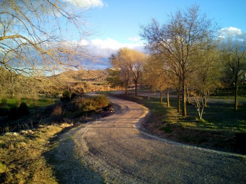 path walk landscape