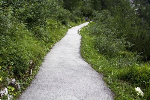path green nature