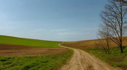 path field fields