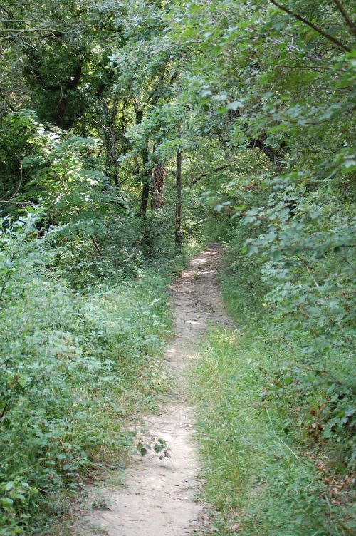 path nature promenade