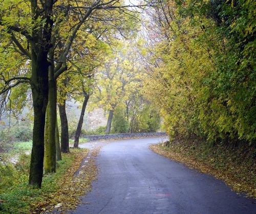 path autumn mountain road