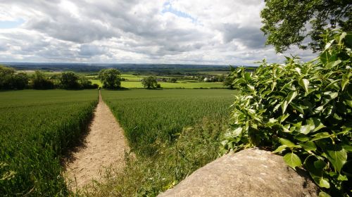 path crops green