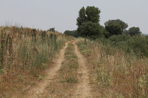 path landscape nature