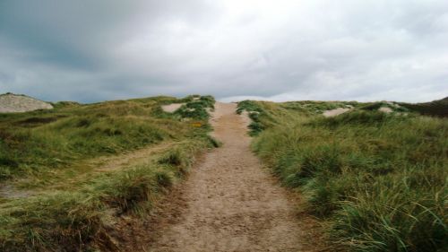 path nature grass