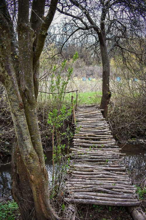 path bridge park