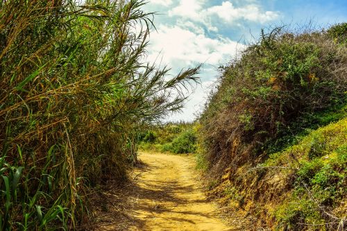 path landscape scenery