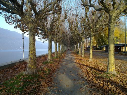 path promenade nature