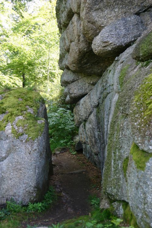 path forest stone