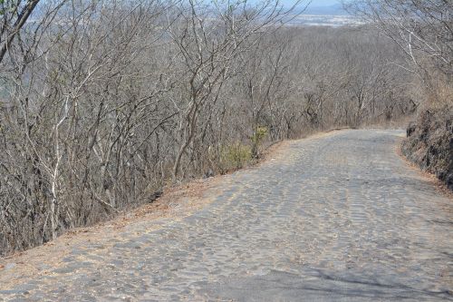 path landscape desert