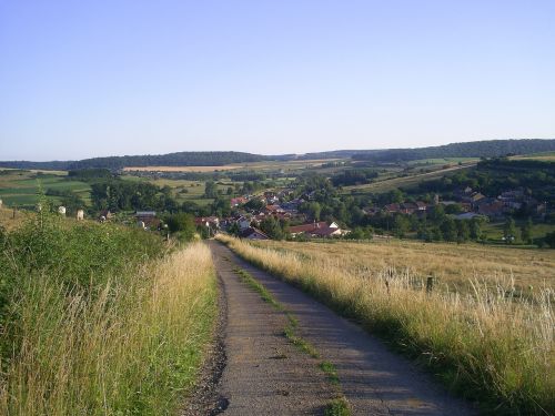 path nature field