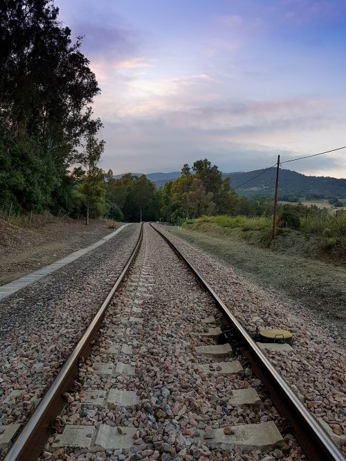 path train via